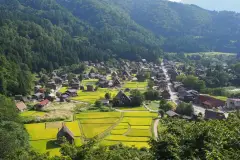 Gassho-style houses and rice fields in Ogimachi, Shirakawa-go