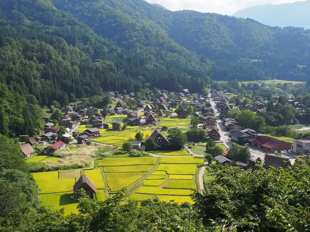 Gassho-style houses and rice fields in Ogimachi, Shirakawa-go