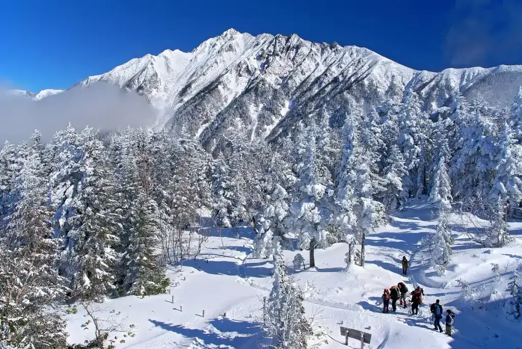 Snow-covered trees and Mount Nishihotaka from the Shinhotaka Ropeway upper area